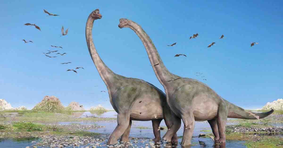 Brontosaurus vs Brachiosaurus – 10 Differences to Notice